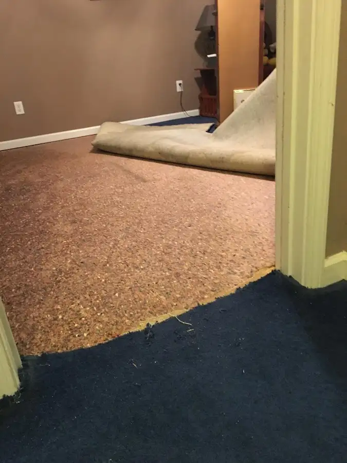 Carpet pad removal revealing water damage during Drying & Dehumidification in Moreno Valley